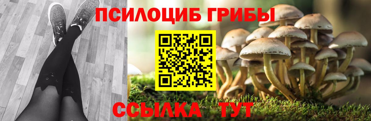Псилоцибиновые грибы GOLDEN TEACHER Усть-Кут